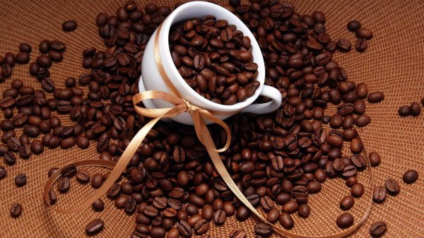 咖啡豆的种类有哪些