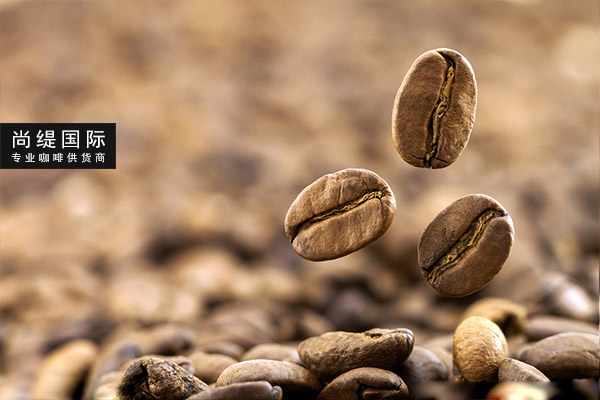 意大利咖啡豆介绍，普陀区商用咖啡豆批发公司